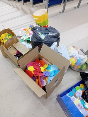 20231120_081704_copy_576x768